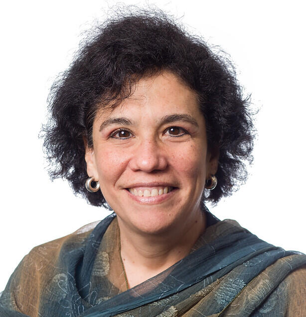 Dr. Ana C. Berrìos Allison, Ph.D., LPC