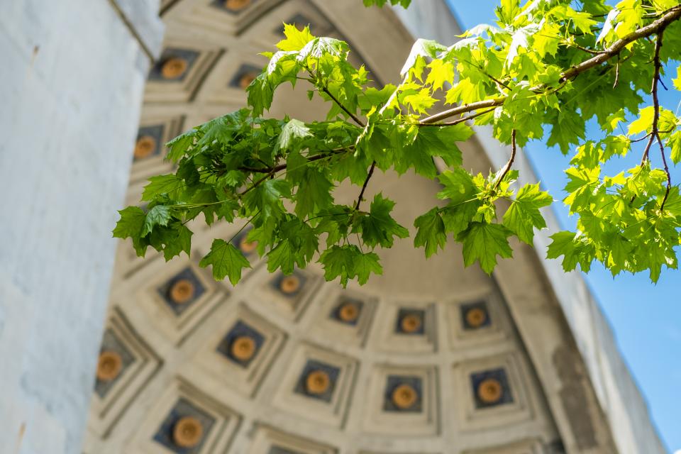 Leaves in front of Ohio Stadium